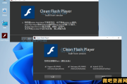 CleanFlashPlayer v34.0.0.301 第三方维护更新无广告版
